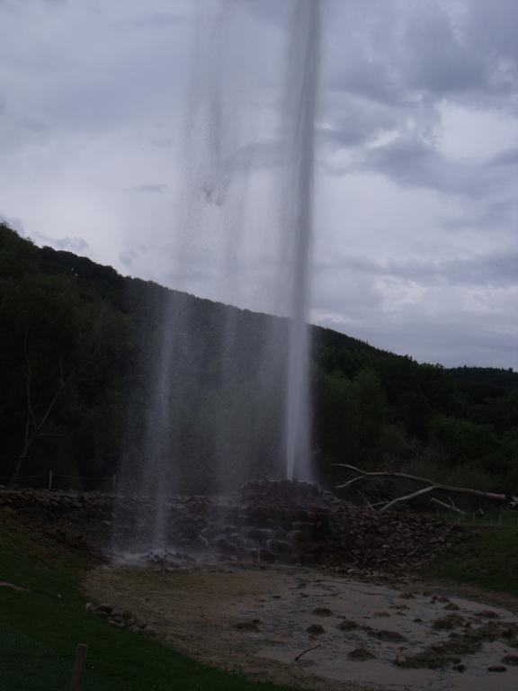 Ferienwohnung Am Waldrand Bad Breisig Oda fotoğraf